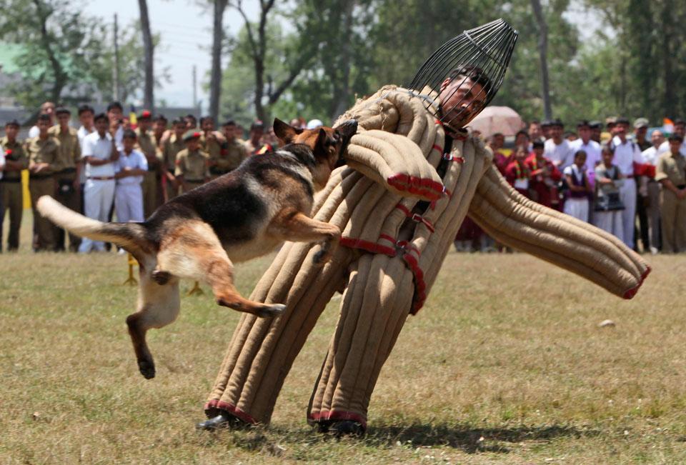 Картина дня: 27 апреля в фотографиях