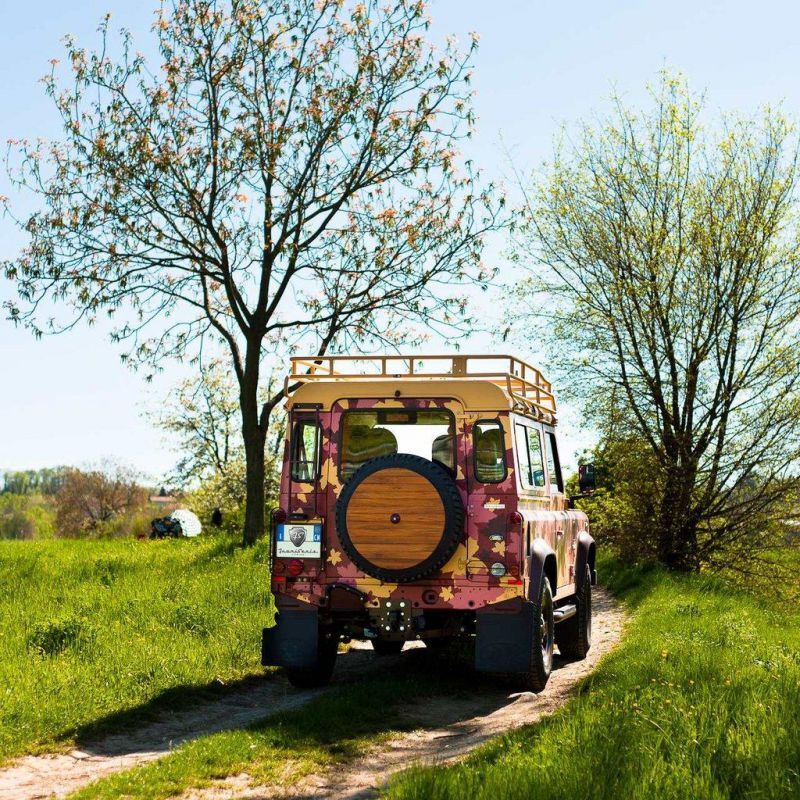 Land Rover Defender Vineyard Edition- внедорожник для виноделов