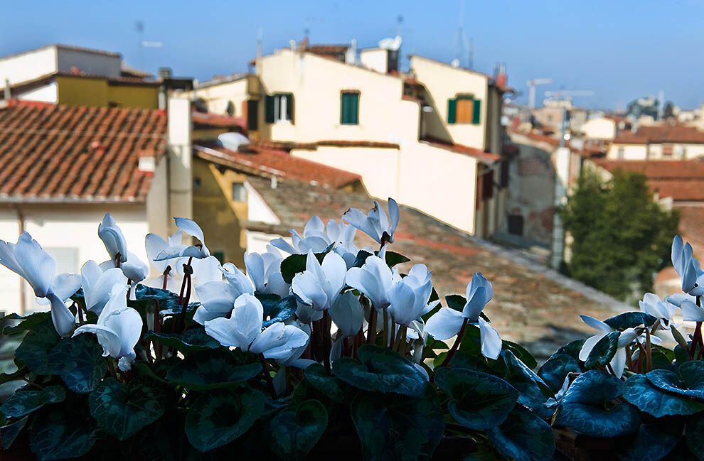 Подорож до Флоренції