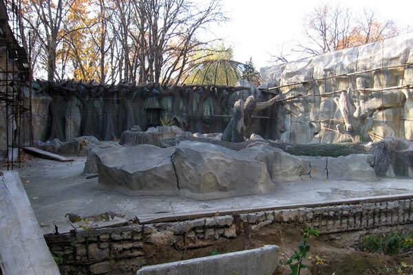 Киевский зоопарк закатают в асфальт?