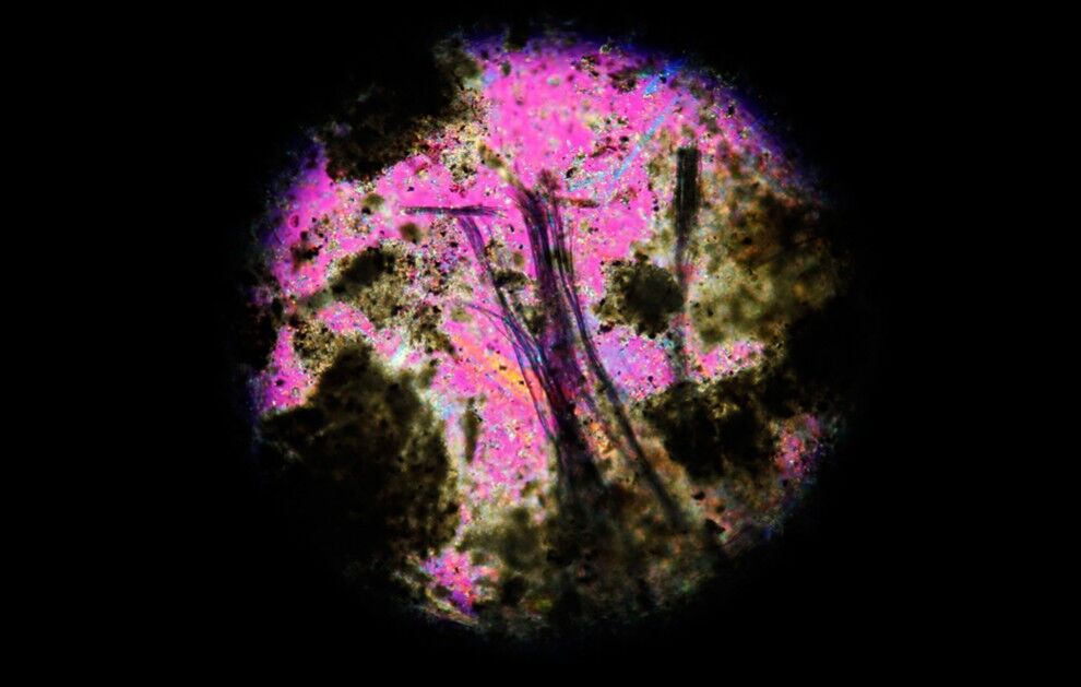 Катастрофа в Японии: два месяца спустя