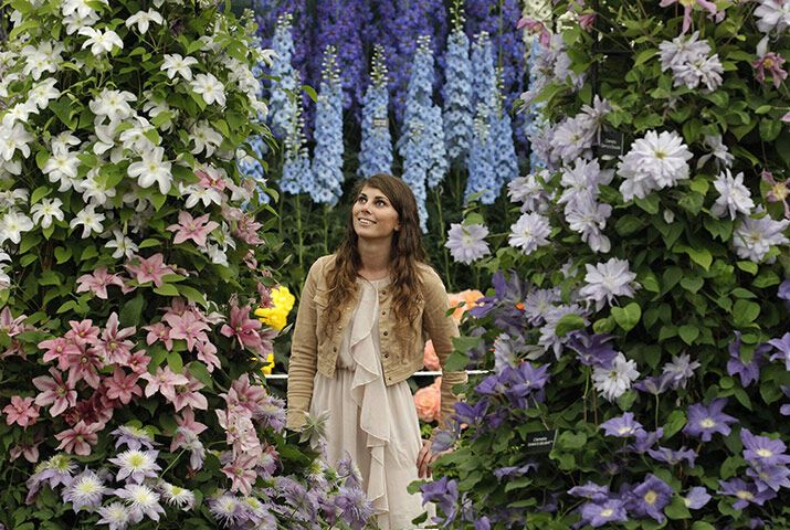 Квіткове шоу в Челсі-2011