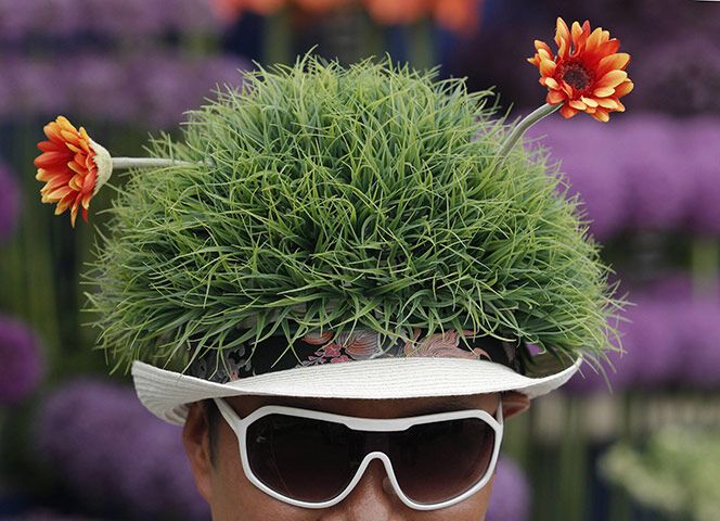 Квіткове шоу в Челсі-2011