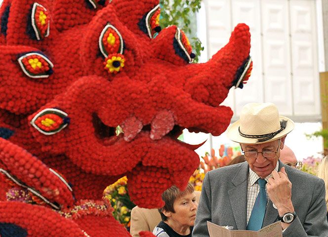 Квіткове шоу в Челсі-2011