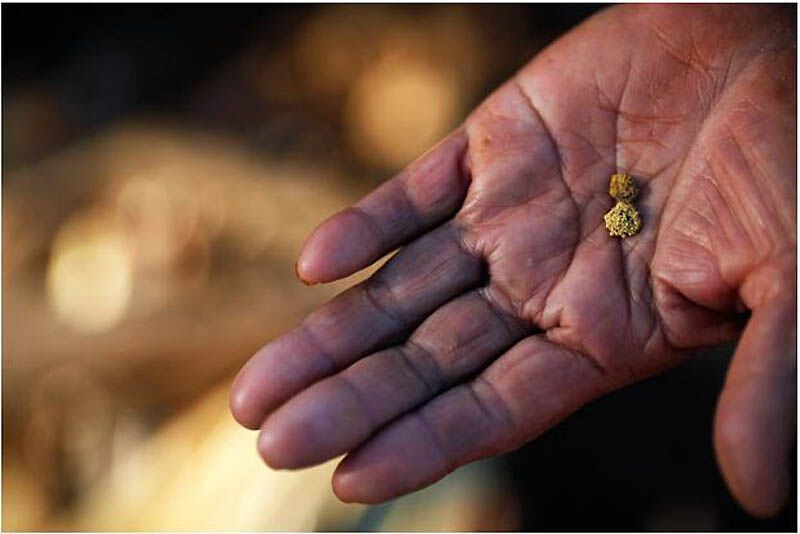 Старателі Таїланду