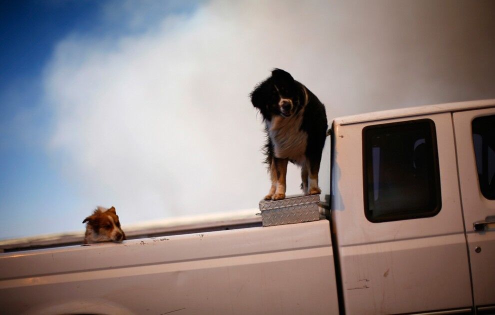 Лесные пожары в Аризоне