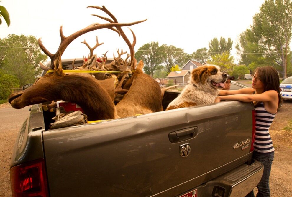 Лесные пожары в Аризоне