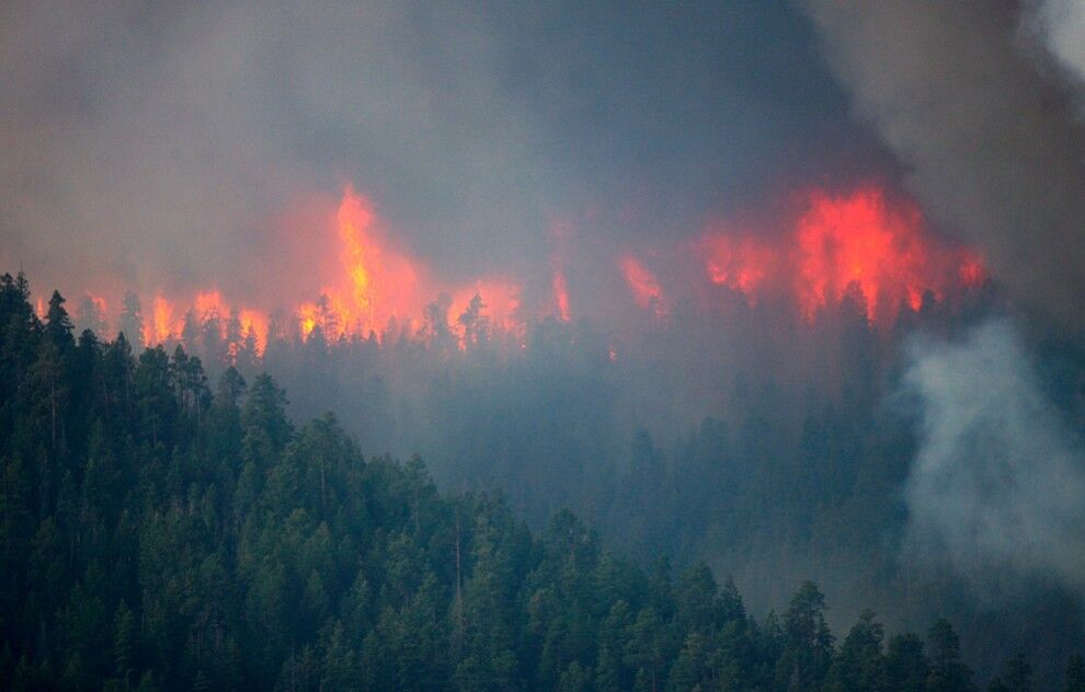 Лесные пожары в Аризоне