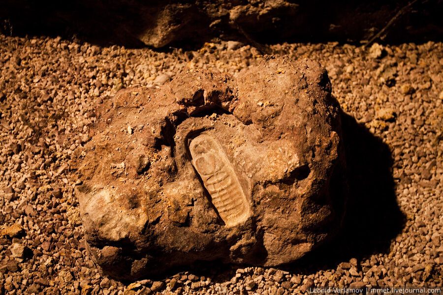 Лабіринт (катакомби) в Будапешті