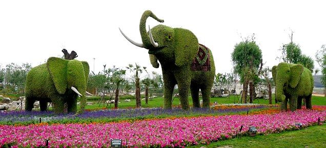 Неймовірні тварини з квітів у Китаї