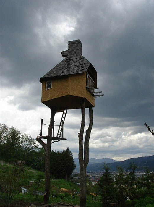 Самі незвичайні будинки