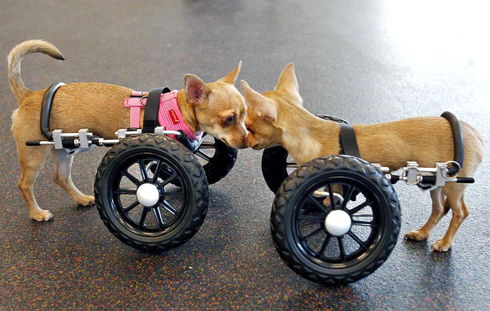 Картина дня: 16 червня о фотографіях