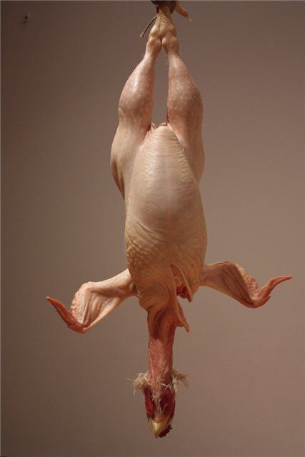 Неприваблива правда про людину. Гіперреалістичність скульптури