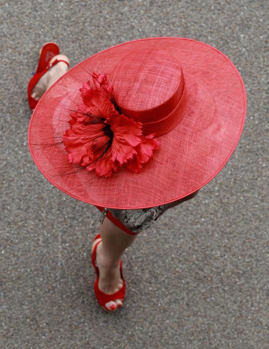 Картина дня: 16 червня о фотографіях