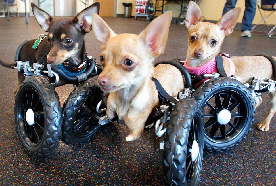 Картина дня: 16 червня о фотографіях