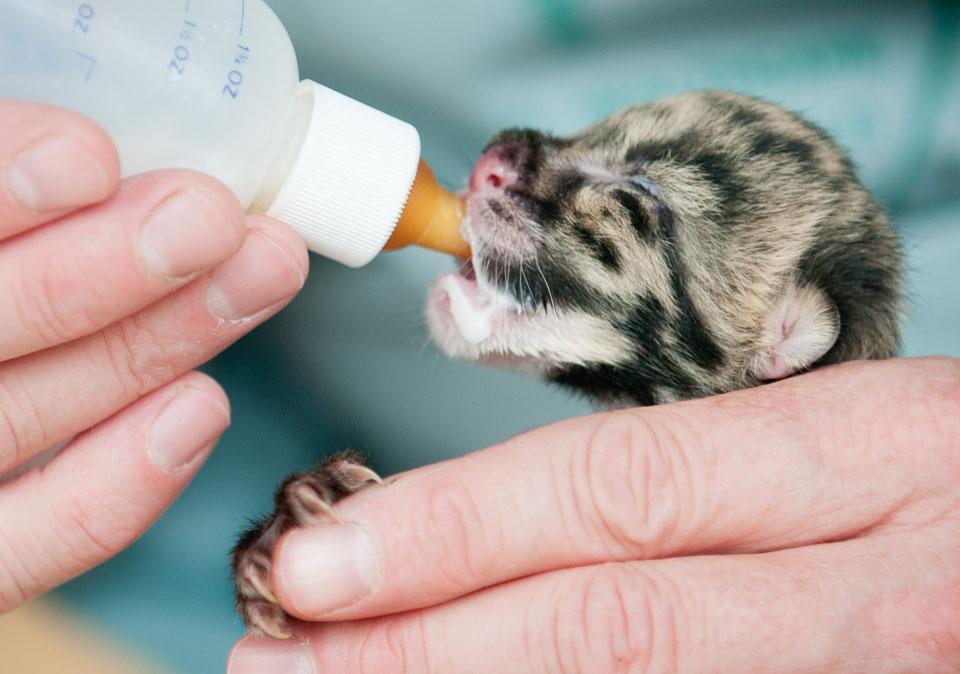 Картина дня: 16 червня о фотографіях