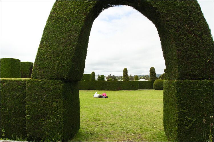 Незвичайні кладовища в Південній Америці
