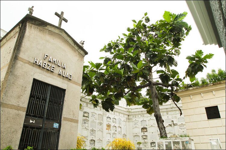 Незвичайні кладовища в Південній Америці