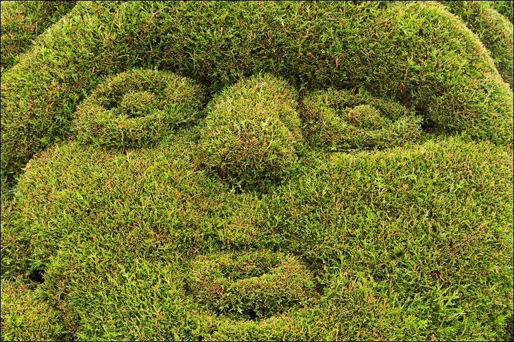 Незвичайні кладовища в Південній Америці