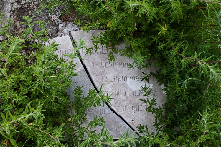 Незвичайні кладовища в Південній Америці