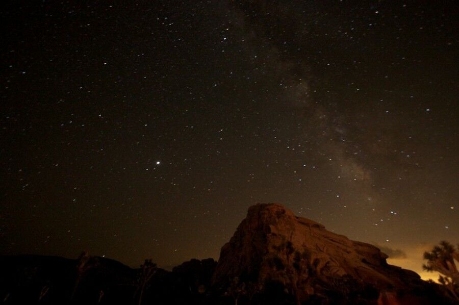Удивительный национальный парк «Юкка коротколистная»