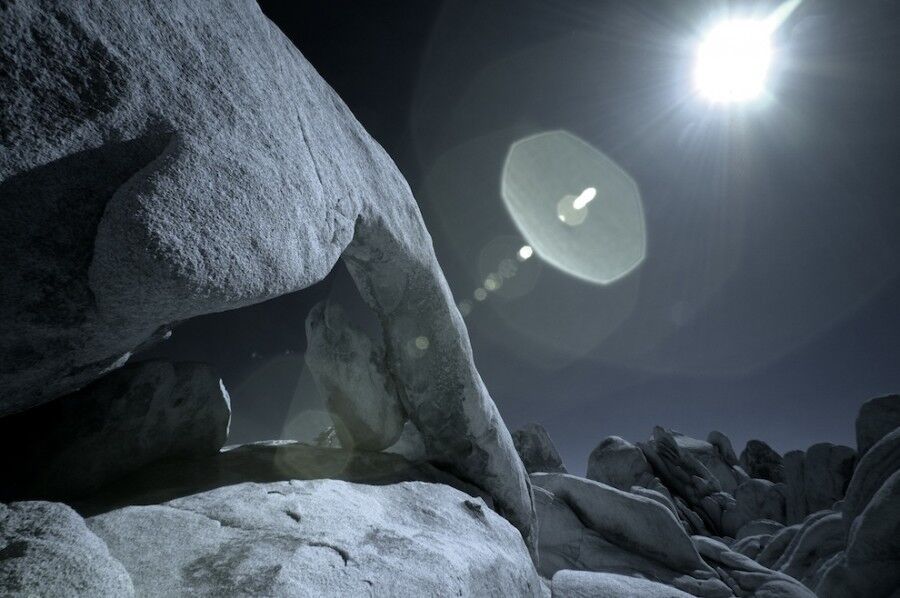 Удивительный национальный парк «Юкка коротколистная»