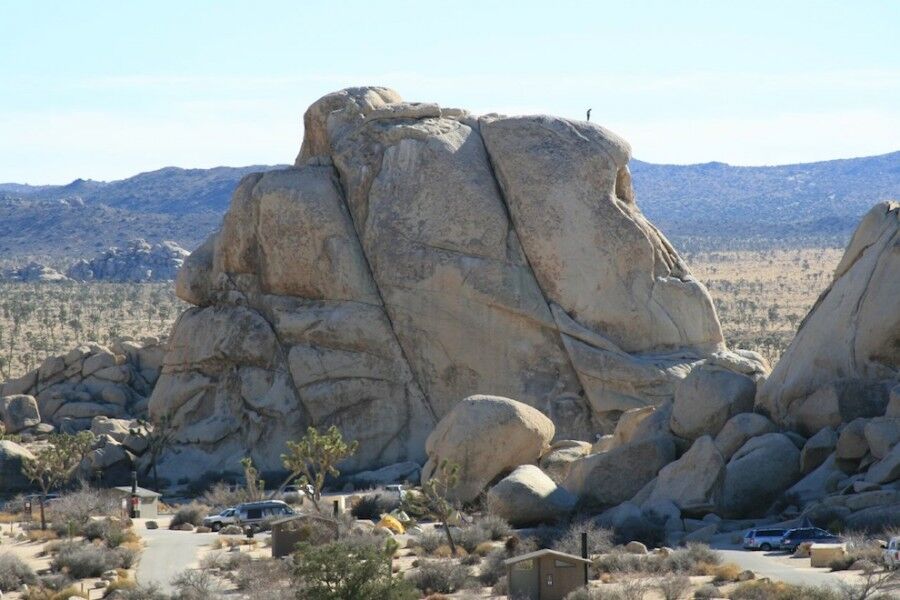 Удивительный национальный парк «Юкка коротколистная»