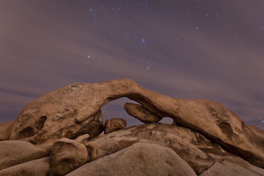 Удивительный национальный парк «Юкка коротколистная»