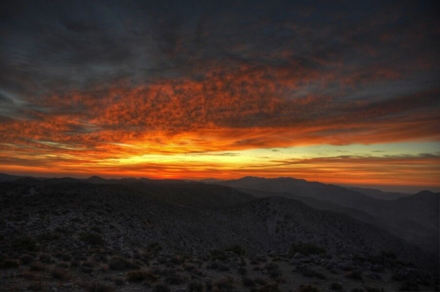 Удивительный национальный парк «Юкка коротколистная»