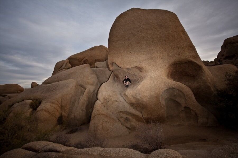 Удивительный национальный парк «Юкка коротколистная»