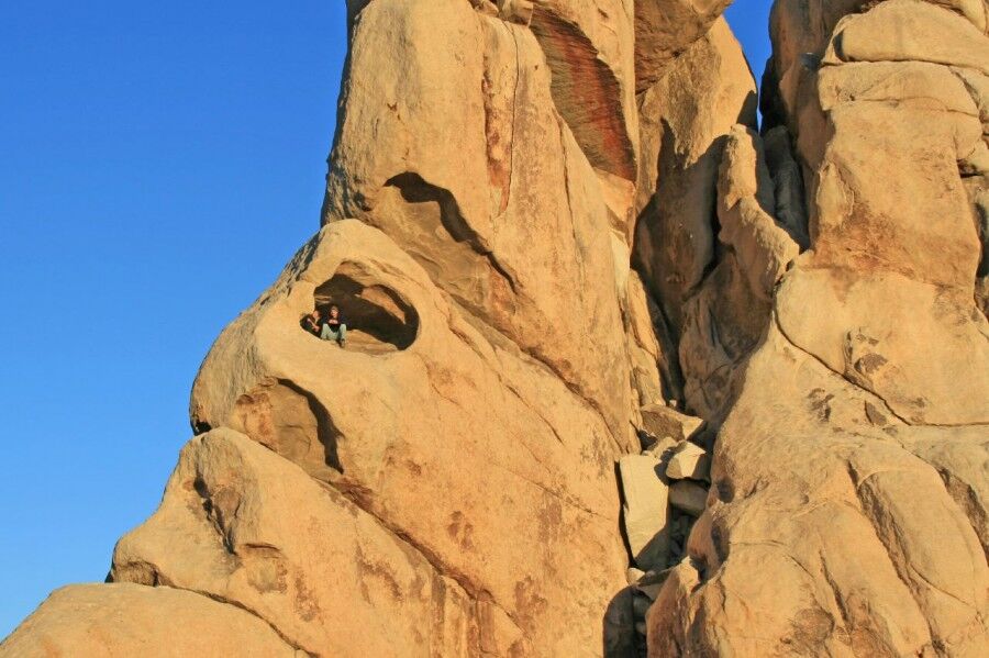 Удивительный национальный парк «Юкка коротколистная»