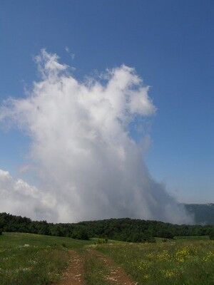Как правильно отдохнуть в Крыму