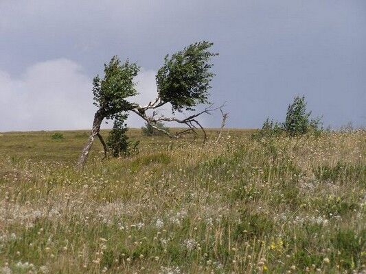 Как правильно отдохнуть в Крыму
