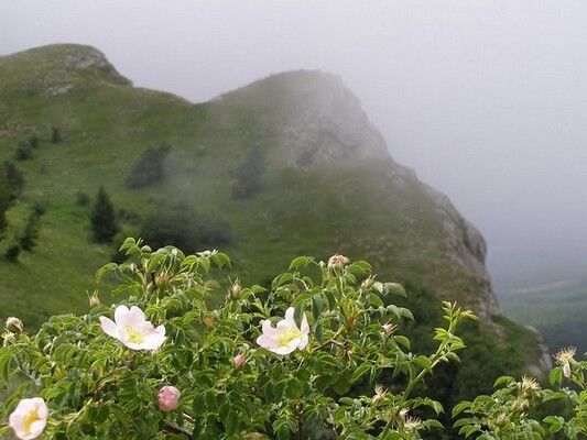 Как правильно отдохнуть в Крыму