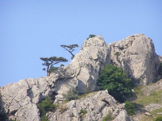 Как правильно отдохнуть в Крыму