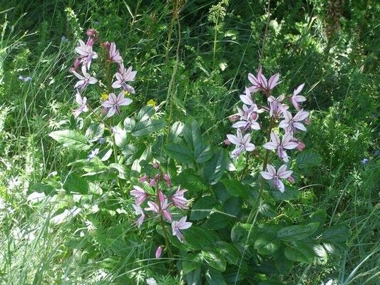 Как правильно отдохнуть в Крыму