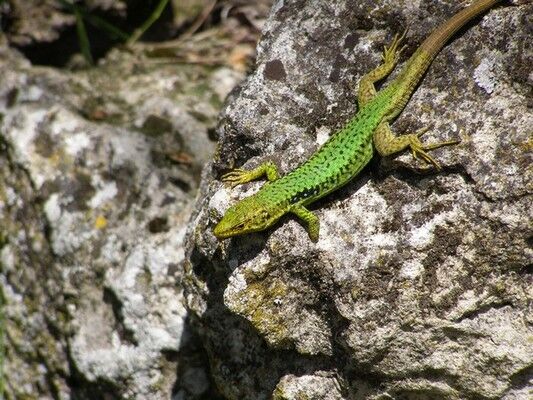 Как правильно отдохнуть в Крыму