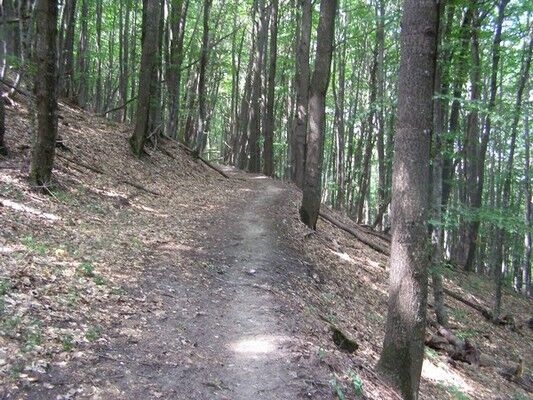 Как правильно отдохнуть в Крыму