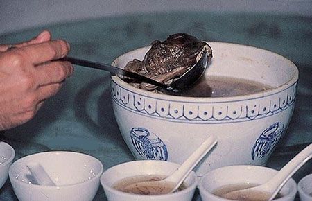 Это правда, что китайцы едят детей? Суп из эмбрионов: мифы и реальность