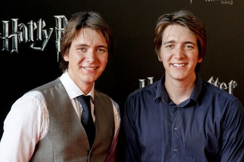 Звезды "Гарри Поттера" встретились в фанатами в Мадриде