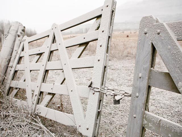 Вулкан Пуйеуэ засыпал Чили и Аргентину толстым слоем пепла