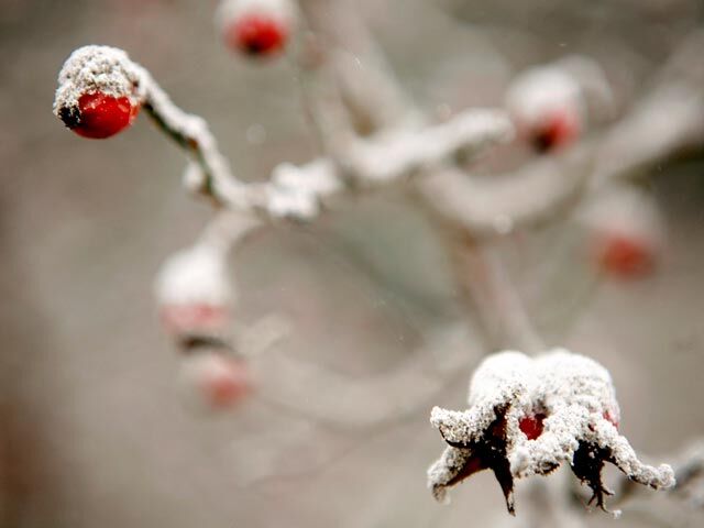Вулкан Пуйеуэ засыпал Чили и Аргентину толстым слоем пепла
