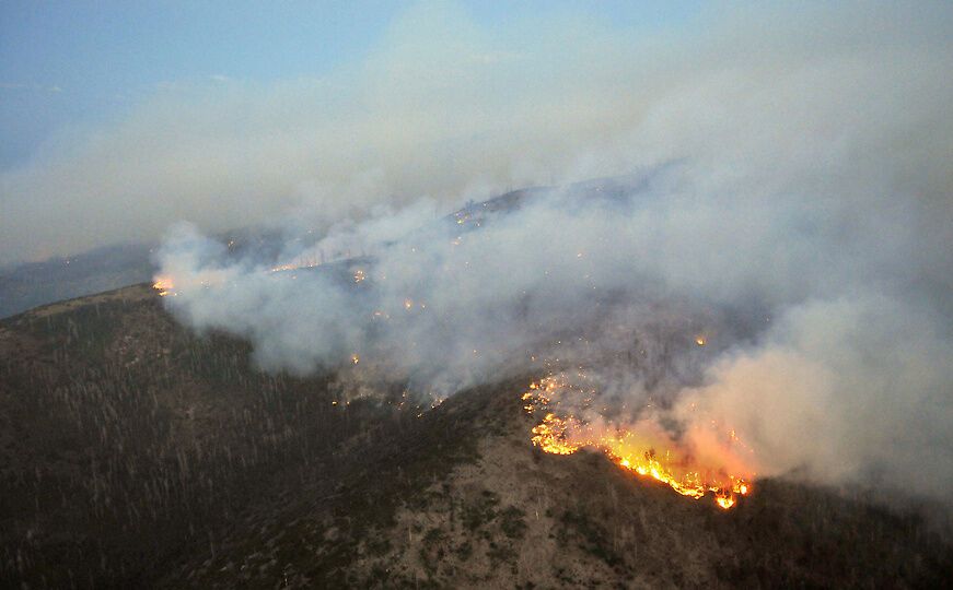 Лесные пожары в Нью-Мексико, США