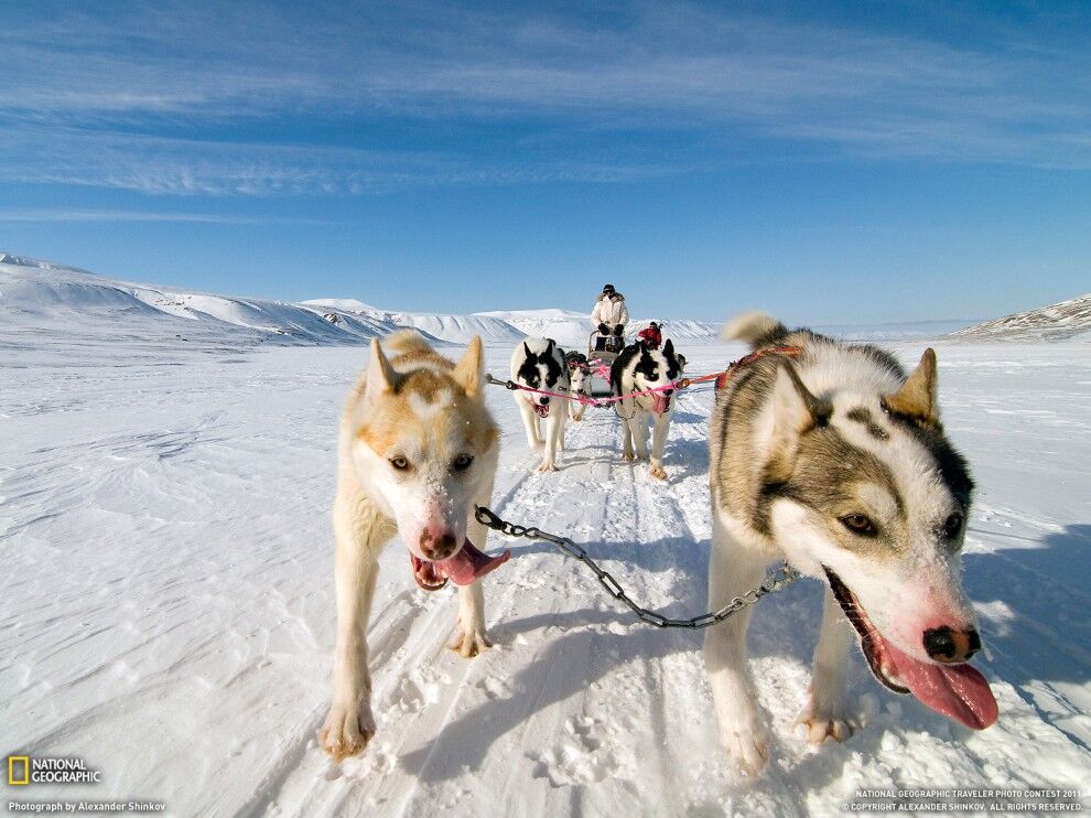 Фото National Geographic за июнь 2011