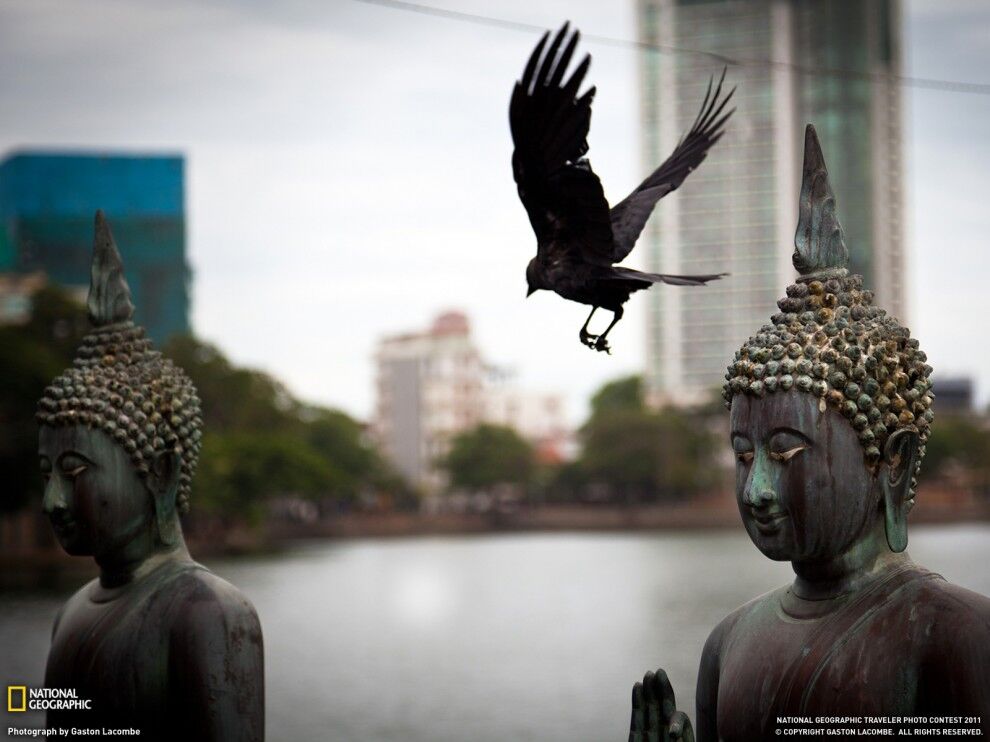 Фото National Geographic за июнь 2011