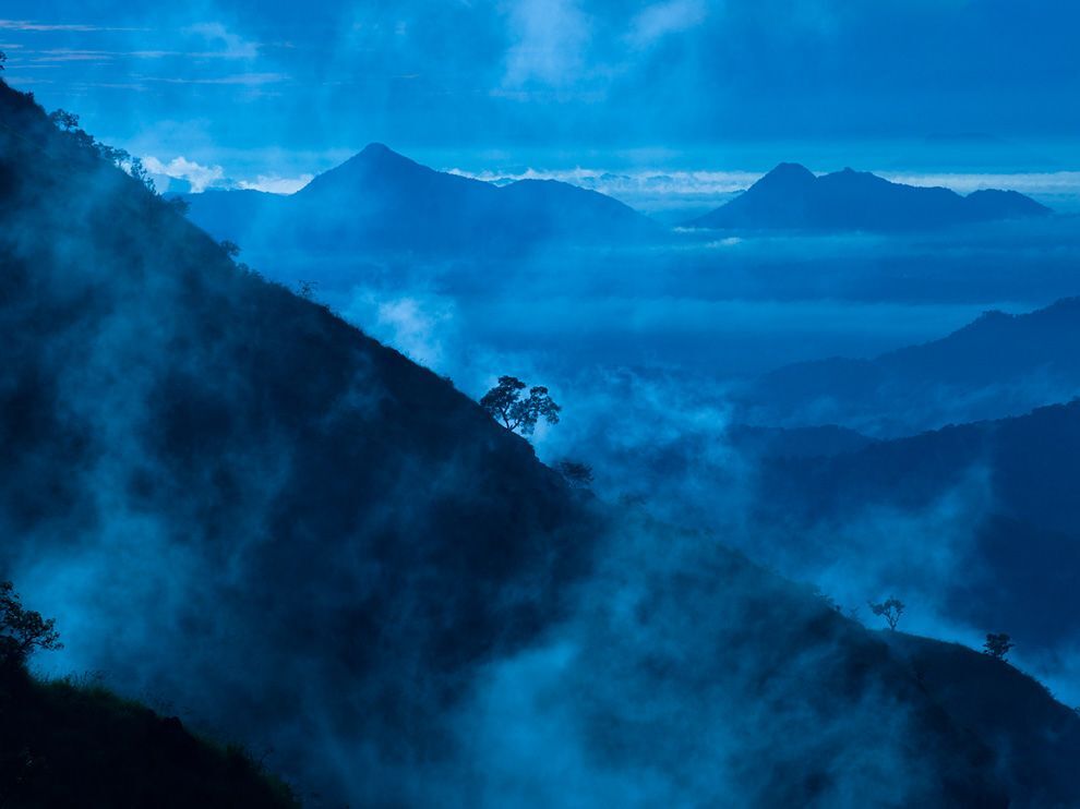 Фото National Geographic за июнь 2011