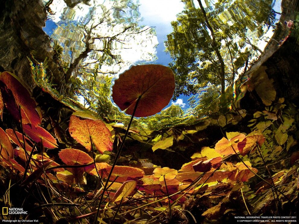 Фото National Geographic за июнь 2011