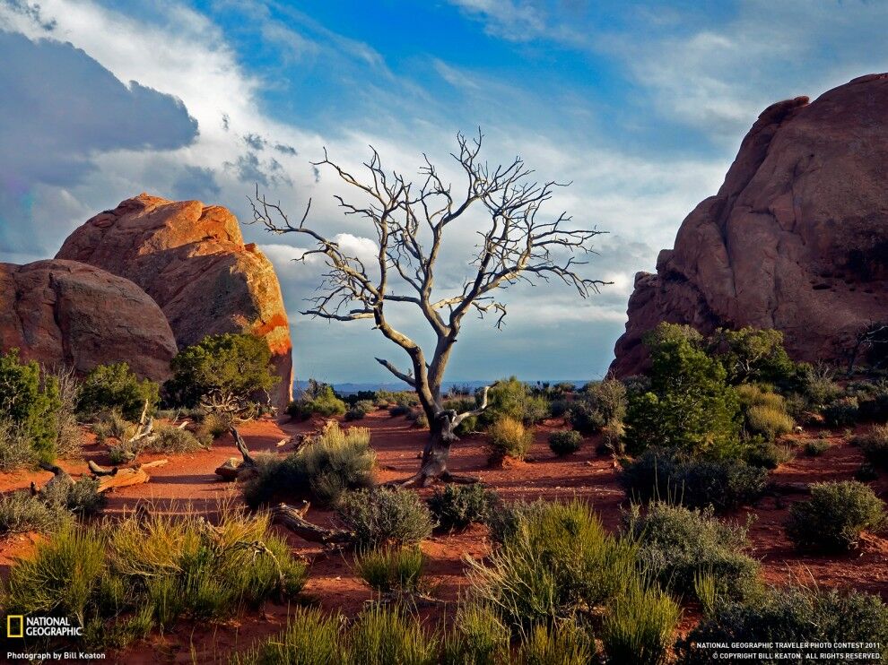 Фото National Geographic за июнь 2011
