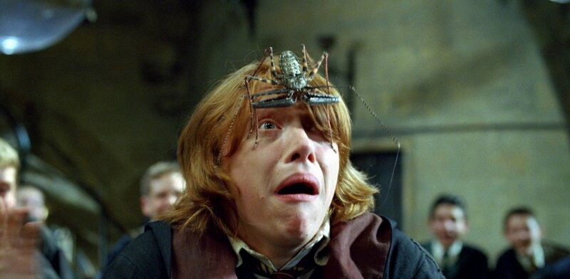 «Гарри Поттер»: 10 лет вместе