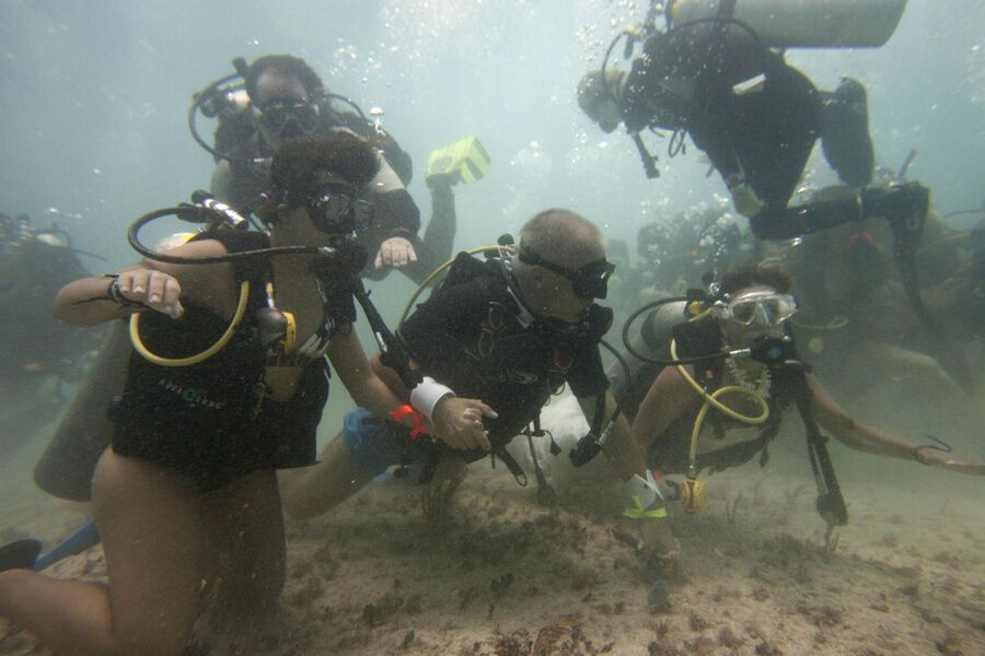 Підводний весілля в Мексиці трохи не дотягла до рекордної